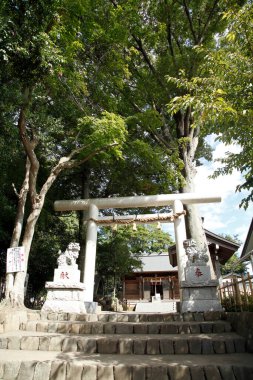 beautiful japanese temple building, buddhism concept