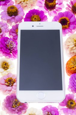 Kasımpatı çiçekli akıllı telefon