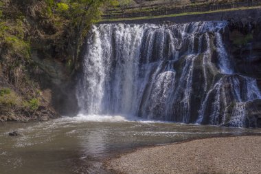 Ormandaki şelale manzarası