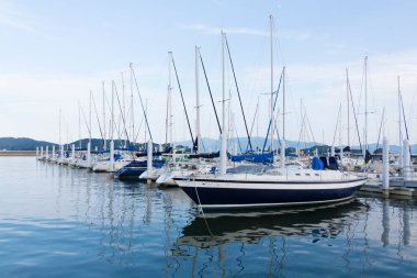 Limanda beyaz yelkenliler