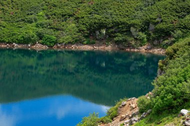 Ormandaki gölün güzel manzarası 