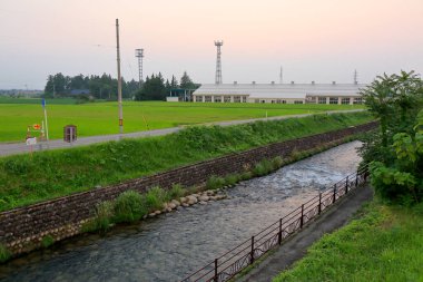 Sabahları parkın manzarası.
