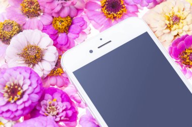 Kasımpatı çiçekli akıllı telefon