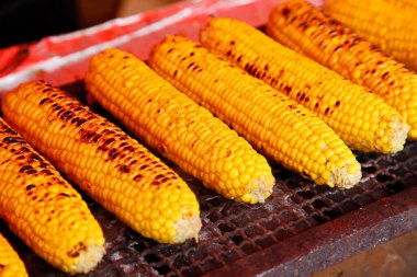 Izgaradaki mısır koçanları