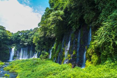 Yeşil ormanda şelale