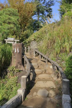 Bir yaz günü Asya 'da güzel ve sessiz bir parkı gözler önüne seriyor..