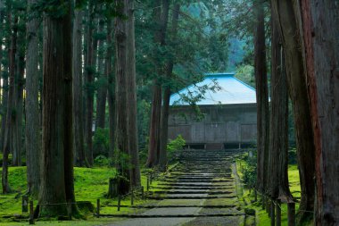 Güzel, sisli yeşil ormanda antik Japon tapınağının manzaralı bir görüntüsü.