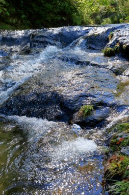 Şelaleli güzel doğa arka plan görüntüsü 