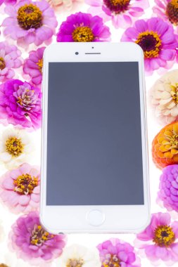 Kasımpatı çiçekli akıllı telefon