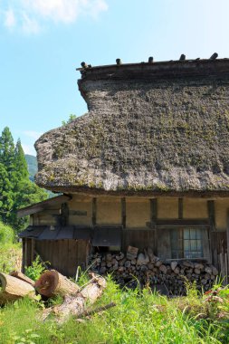 Japonya 'daki geleneksel Japon evi.