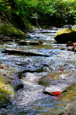 Şelaleli güzel doğa arka plan görüntüsü 