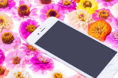 Kasımpatı çiçekli akıllı telefon