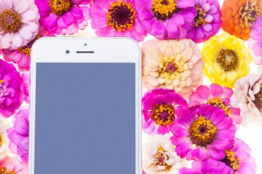 Kasımpatı çiçekli akıllı telefon