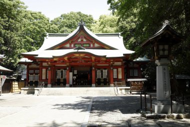 Asya 'daki eski tapınağın manzarası