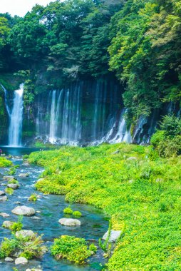 Yeşil ormanda şelale