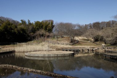 Oyamada Yeşil Alanı Yusufçuk Havuzu, Machida Şehri, Japonya