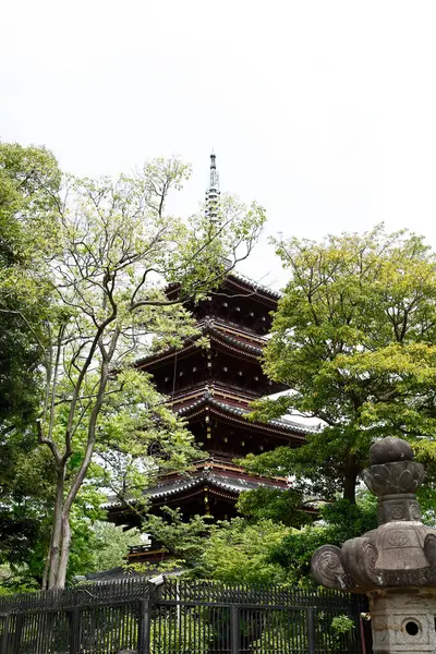 Architettura Tradizionale Giapponese Edificio Del Tempio — Foto Stock