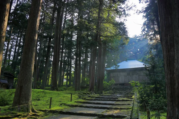 Güzel, sisli yeşil ormanda antik Japon tapınağının manzaralı bir görüntüsü.