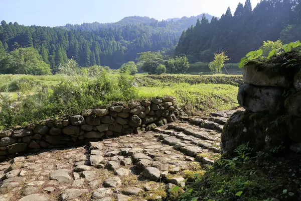 stock image The old entrance path to Heisenji Hakusan Shrine is called the Chugu Heisenji Sando and is one of the 100 Great Roads of Japan. The stone-paved path is surrounded by ancient trees,