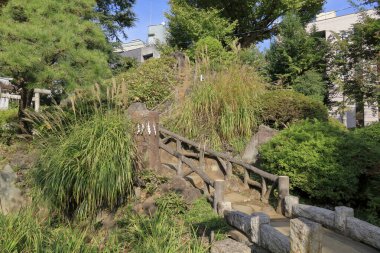 Tokyo, Japonya 'daki Japon bahçesi.