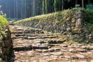 Heisenji Hakusan Tapınağı 'nın eski giriş yolu Chugu Heisenji Sando olarak adlandırılır ve Japonya' nın 100 Büyük Yolu 'ndan biridir. Taş döşeli yol eski ağaçlarla çevrili.,