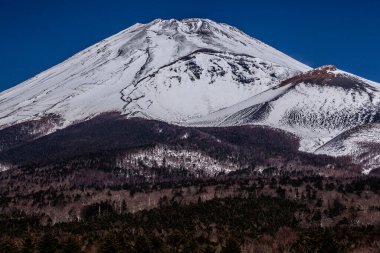 Japonya 'daki kar dağlarının güzel kış manzarası