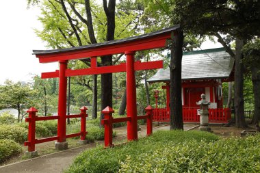 Japon şehrinin geleneksel tapınak kapısı.