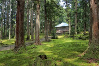 Güzel, sisli yeşil ormanda antik Japon tapınağının manzaralı bir görüntüsü.