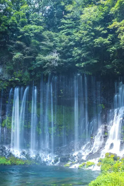 緑の森の滝 — ストック写真