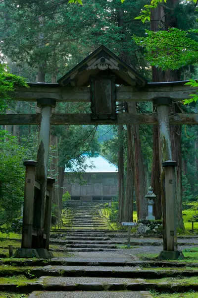 美丽的雾蒙蒙的绿林中的日本古寺的风景画 — 图库照片