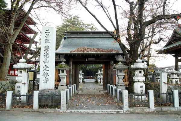Plan Pittoresque Magnifique Temple Japonais Antique — Photo
