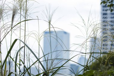 şehir arkaplan görüntüsü, şehir manzarası 