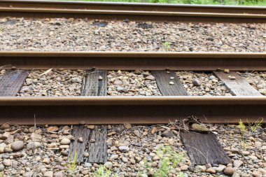 Doğada bir ormanda demiryolu rayları var.