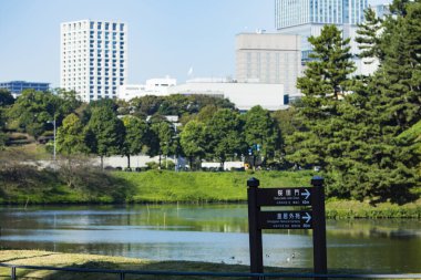 Şehir manzarası binaları, şehir arkaplan görüntüsü 