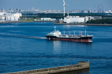 Tokyo japan Kasım 26, 20 0 19 Sonbahar yaprakları Yoyogi koen parkı bahçesinde