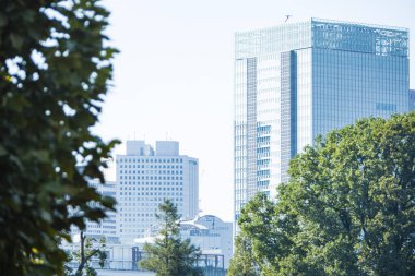 Şehir manzarası binaları, şehir arkaplan görüntüsü 