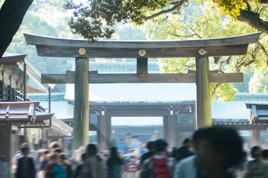 Japon tapınağının tarihi manzarası, Japonya, Asya