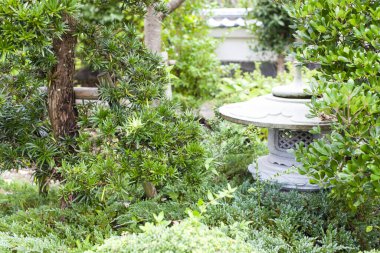 Garajdaki eski paslı araba..