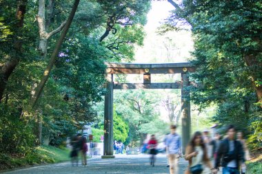 Japonya 'da şehir parkında yürüyen insanlar.