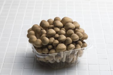 Beyaz arkaplanda izole edilmiş mantarların kapatılması