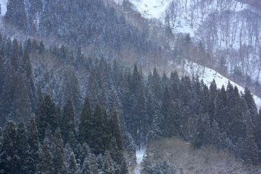 Kar ve ağaçlarla kaplı kış manzarası 