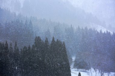 Kar ve ağaçlarla kaplı kış manzarası 