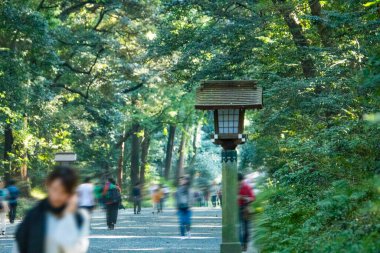 Japonya 'da şehir parkında yürüyen insanlar.