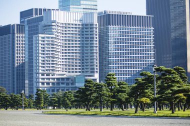 Yazın şehir merkezinde gökdelenler ve ağaçlar 