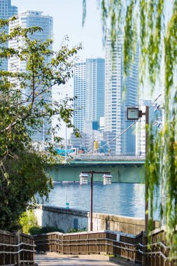 Sumida Nehri üzerindeki köprü. Tokyo Japonya