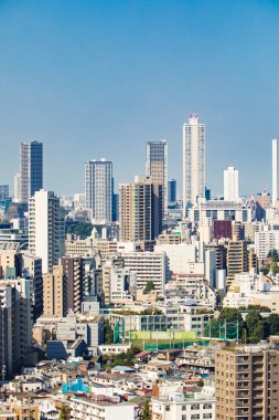 Tokyo şehir manzarası yukarıdan görünüyor. Japonya