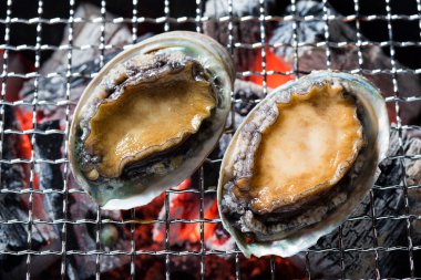 Yakın plan - ızgarada taze taze istiridye