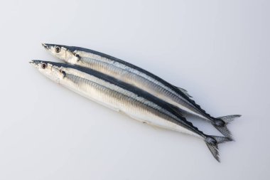 Pişmeye hazır taze çiğ balık.