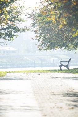 İki ağaç arasındaki yolda oturan bir park bankı. 