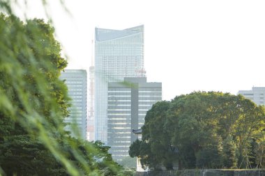 büyük şehirde modern mimari 